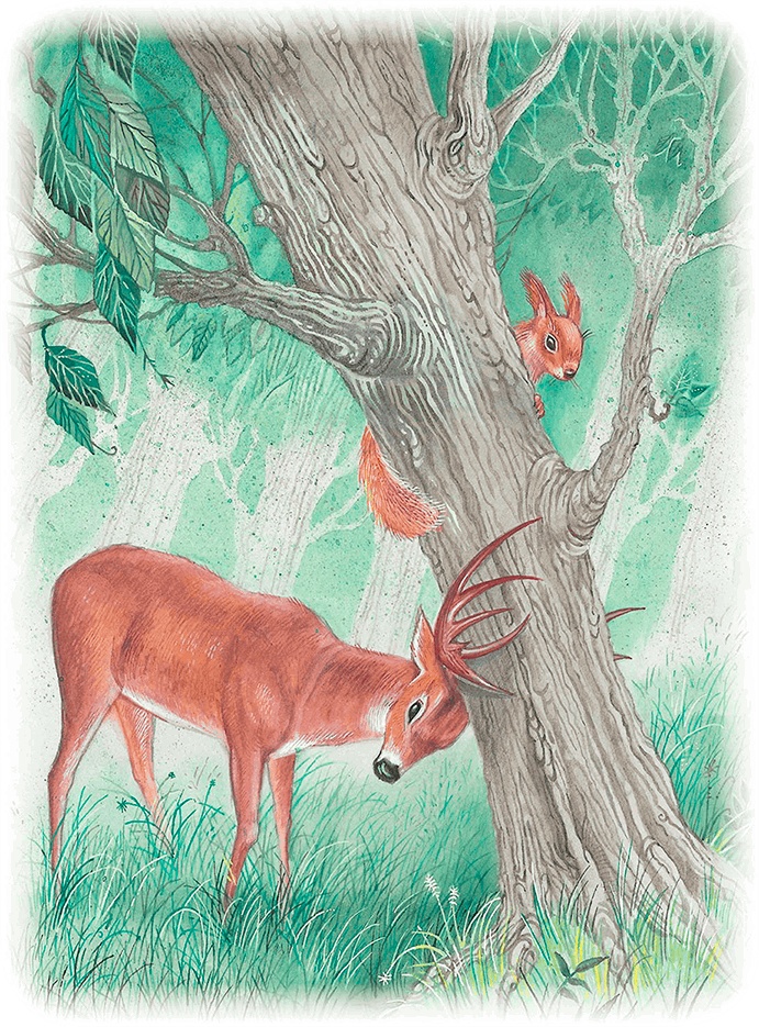 Иллюстрация к книге — Бемби [i_031.jpg]