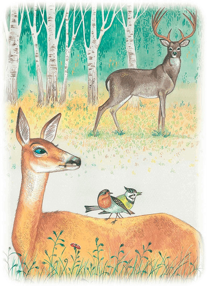 Иллюстрация к книге — Бемби [i_039.jpg]