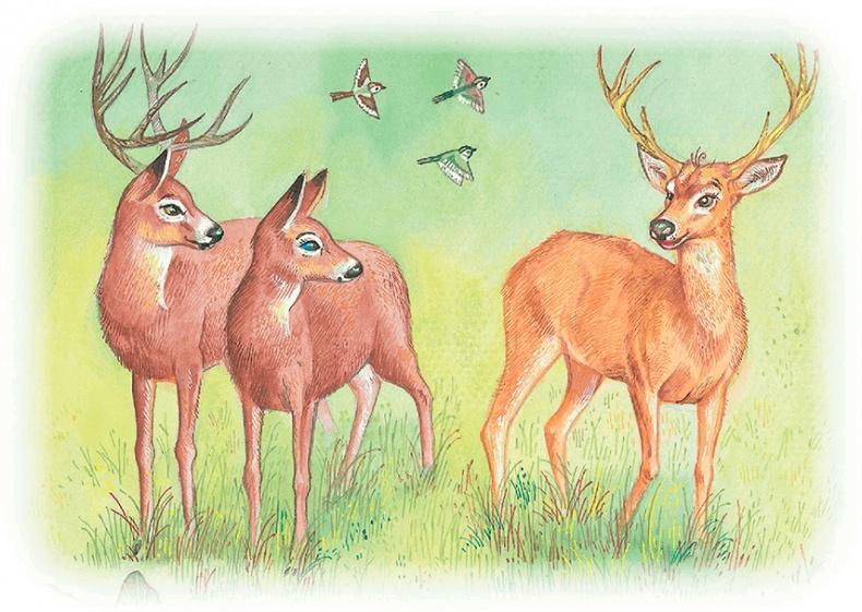 Иллюстрация к книге — Бемби [i_041.jpg]