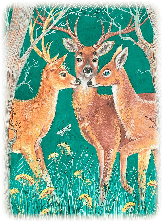 Иллюстрация к книге — Бемби [i_042.jpg]