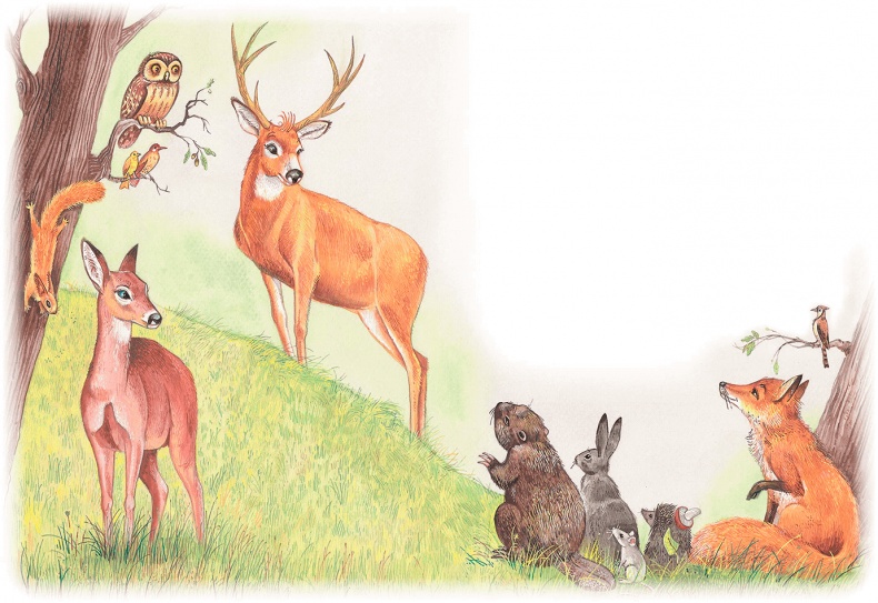 Иллюстрация к книге — Бемби [i_043.jpg]