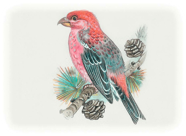 Иллюстрация к книге — Бемби [i_044.jpg]