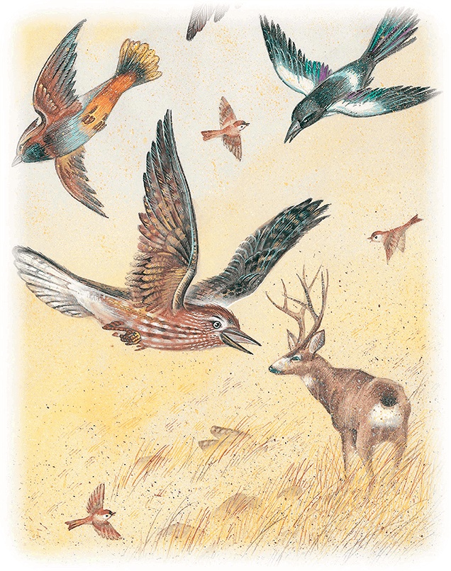 Иллюстрация к книге — Бемби [i_048.jpg]