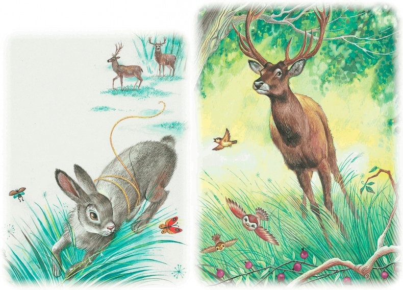 Иллюстрация к книге — Бемби [i_050.jpg]