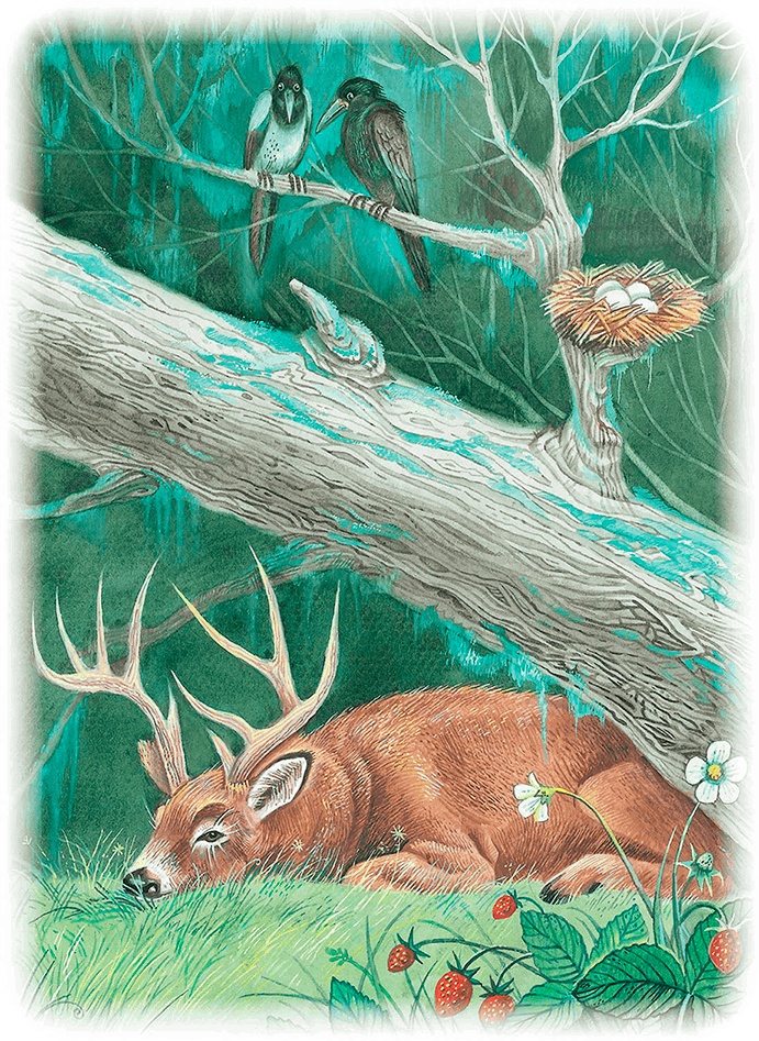 Иллюстрация к книге — Бемби [i_051.jpg]