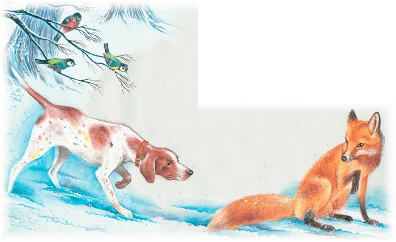 Иллюстрация к книге — Бемби [i_054.jpg]