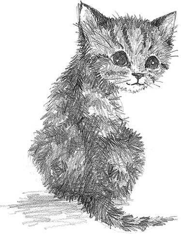 Иллюстрация к книге — Котёнок Снежинка, или Зимнее волшебство [i_001.jpg]