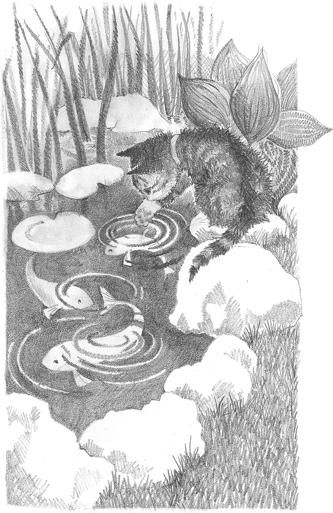 Иллюстрация к книге — Котёнок Снежинка, или Зимнее волшебство [i_007.jpg]