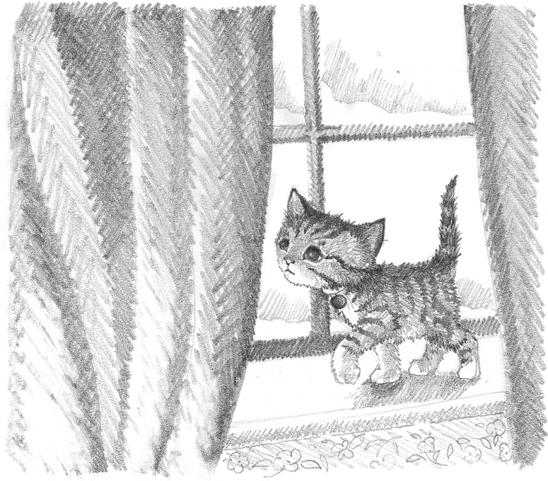 Иллюстрация к книге — Котёнок Снежинка, или Зимнее волшебство [i_008.jpg]