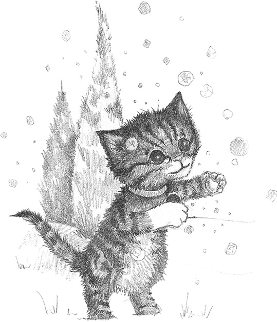 Иллюстрация к книге — Котёнок Снежинка, или Зимнее волшебство [i_010.jpg]