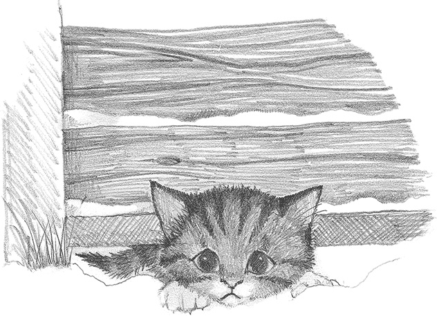 Иллюстрация к книге — Котёнок Снежинка, или Зимнее волшебство [i_012.jpg]