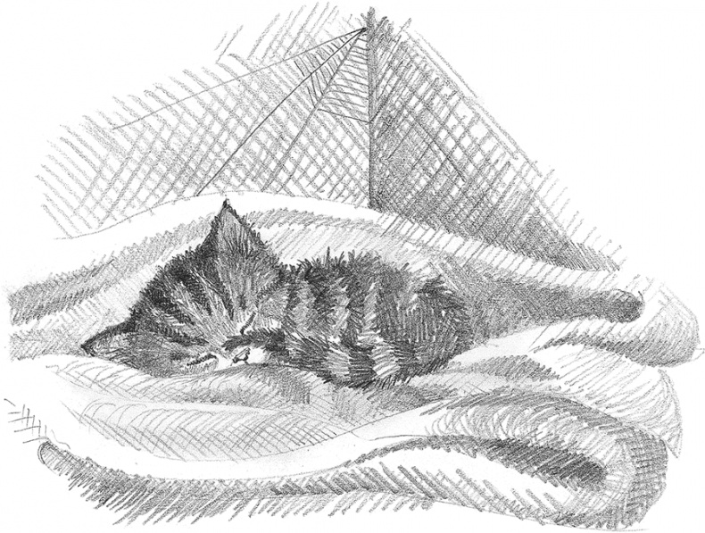 Иллюстрация к книге — Котёнок Снежинка, или Зимнее волшебство [i_019.jpg]