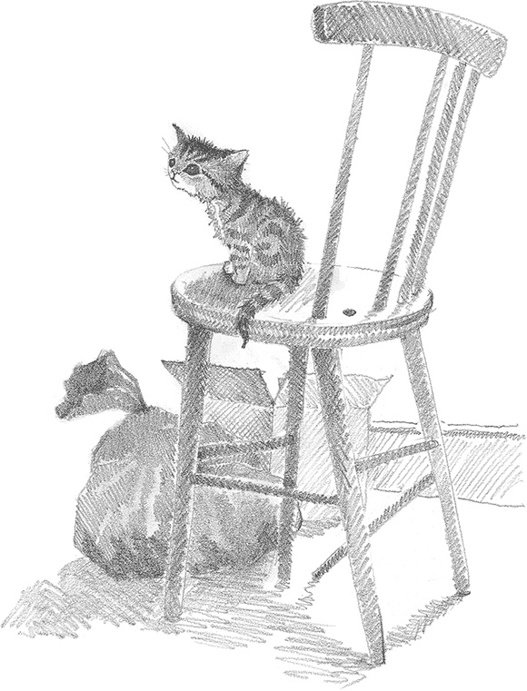 Иллюстрация к книге — Котёнок Снежинка, или Зимнее волшебство [i_021.jpg]