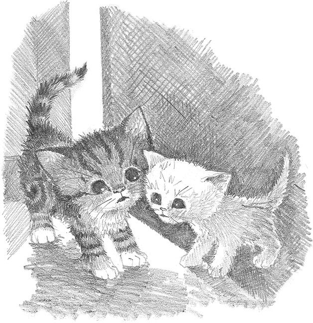 Иллюстрация к книге — Котёнок Снежинка, или Зимнее волшебство [i_022.jpg]