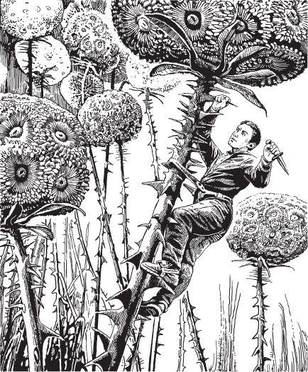 Иллюстрация к книге — Сезон туманов (сборник) [_3.jpg]