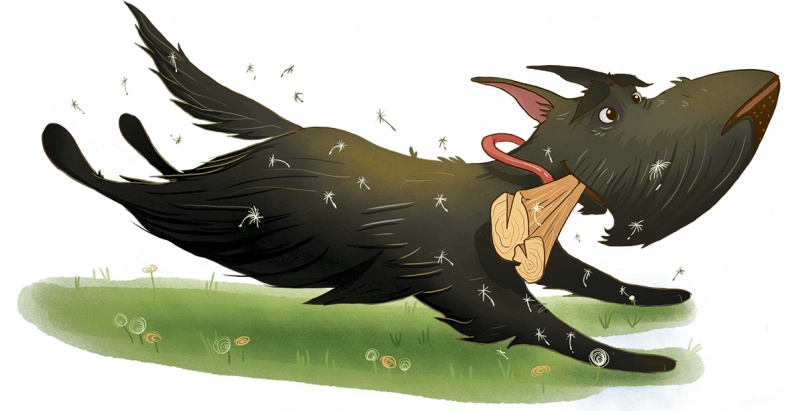 Иллюстрация к книге — Учитель Так-Так и его разноцветная школа [i_004.jpg]