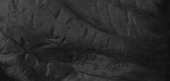 Иллюстрация к книге — Новости. Инструкция для пользователя [i_001.jpg]