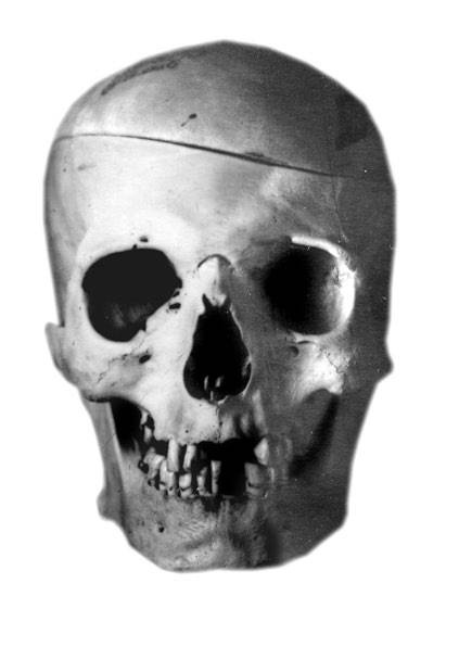 Иллюстрация к книге — Откровения судебного медика [i_016.jpg]