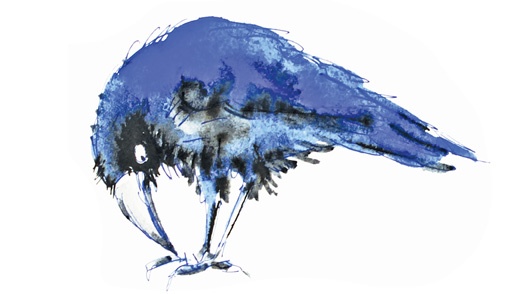 Иллюстрация к книге — Ворон Клара и яблочный год [i_005.jpg]