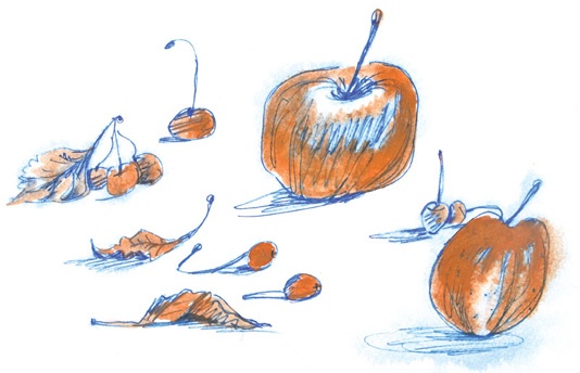 Иллюстрация к книге — Ворон Клара и яблочный год [i_007.jpg]