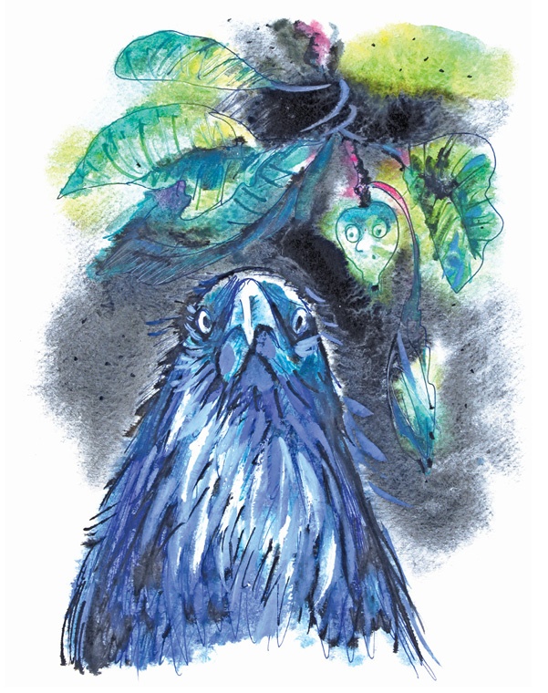 Иллюстрация к книге — Ворон Клара и яблочный год [i_016.jpg]