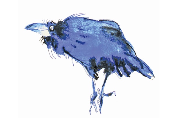 Иллюстрация к книге — Ворон Клара и яблочный год [i_017.jpg]