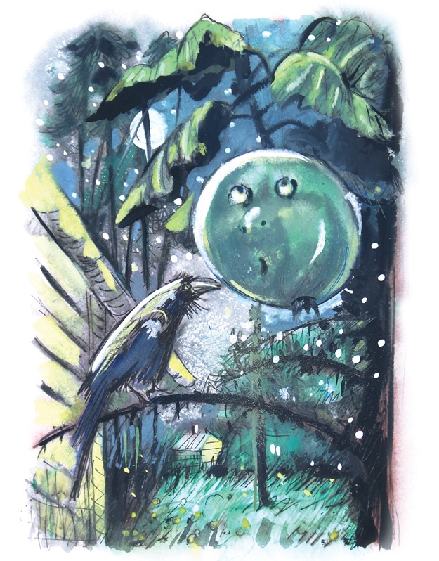 Иллюстрация к книге — Ворон Клара и яблочный год [i_018.jpg]