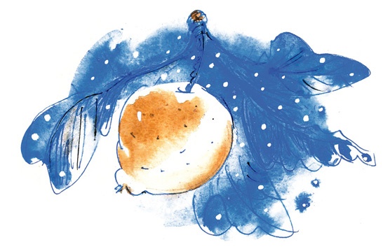 Иллюстрация к книге — Ворон Клара и яблочный год [i_019.jpg]