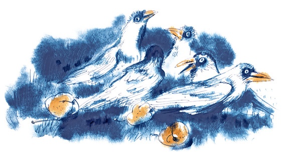 Иллюстрация к книге — Ворон Клара и яблочный год [i_022.jpg]