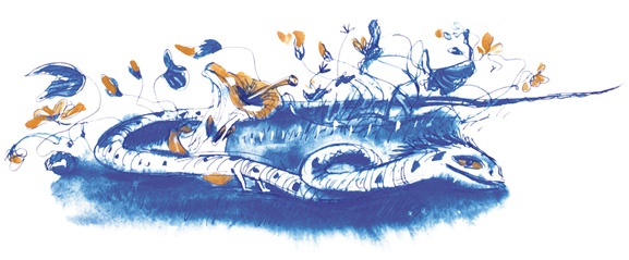 Иллюстрация к книге — Ворон Клара и яблочный год [i_024.jpg]