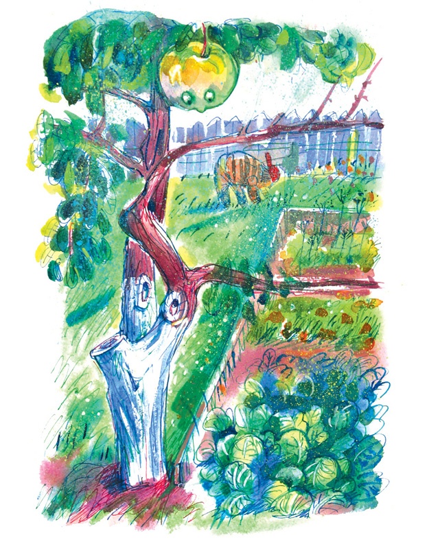 Иллюстрация к книге — Ворон Клара и яблочный год [i_032.jpg]