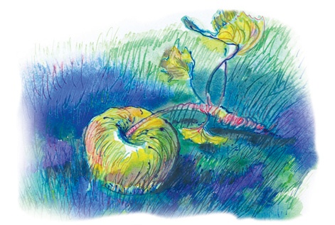 Иллюстрация к книге — Ворон Клара и яблочный год [i_033.jpg]