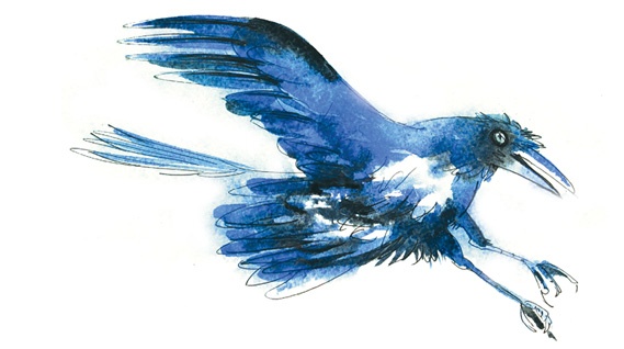 Иллюстрация к книге — Ворон Клара и яблочный год [i_036.jpg]