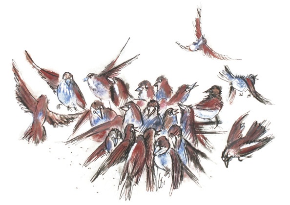 Иллюстрация к книге — Ворон Клара и яблочный год [i_038.jpg]