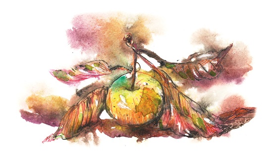 Иллюстрация к книге — Ворон Клара и яблочный год [i_040.jpg]