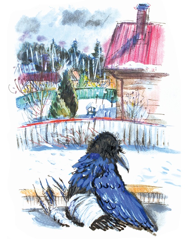 Иллюстрация к книге — Ворон Клара и яблочный год [i_043.jpg]