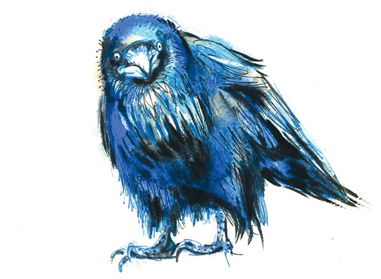 Иллюстрация к книге — Ворон Клара и яблочный год [i_044.jpg]