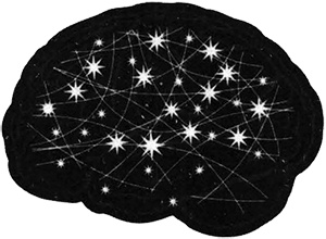 Иллюстрация к книге — Быстрый ум. Как забывать лишнее и помнить нужное [i_003.jpg]