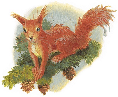 Иллюстрация к книге — Жук на ниточке [i_004.jpg]