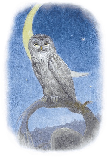 Иллюстрация к книге — Жук на ниточке [i_007.jpg]