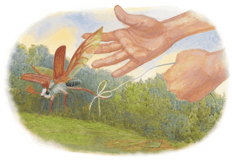 Иллюстрация к книге — Жук на ниточке [i_008.jpg]