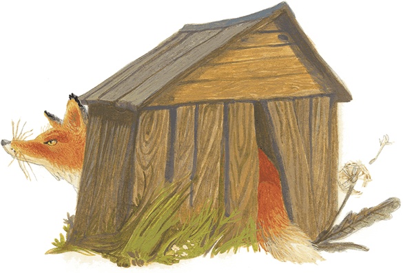 Иллюстрация к книге — Жук на ниточке [i_011.jpg]