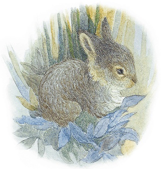 Иллюстрация к книге — Жук на ниточке [i_018.jpg]