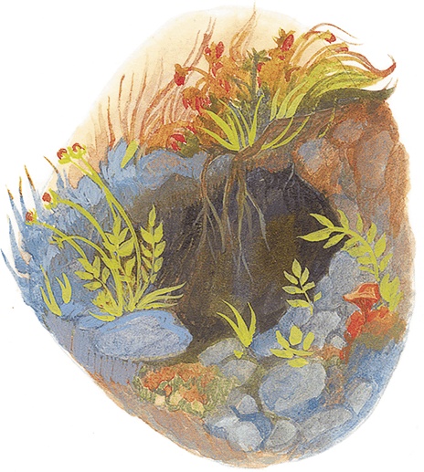 Иллюстрация к книге — Жук на ниточке [i_023.jpg]