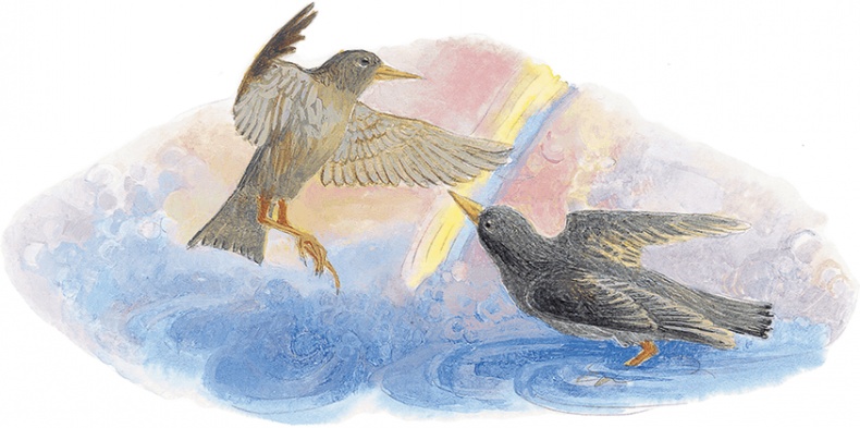 Иллюстрация к книге — Жук на ниточке [i_024.jpg]