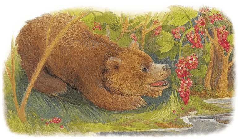 Иллюстрация к книге — Жук на ниточке [i_026.jpg]