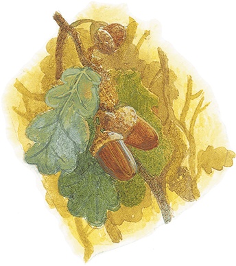 Иллюстрация к книге — Жук на ниточке [i_028.jpg]