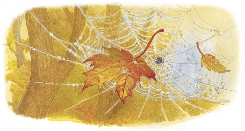 Иллюстрация к книге — Жук на ниточке [i_029.jpg]