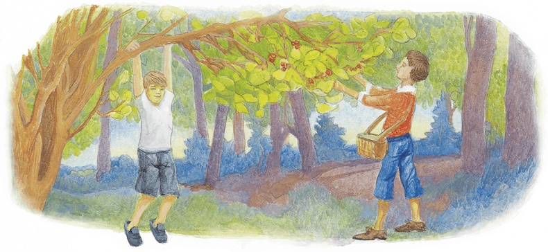 Иллюстрация к книге — Жук на ниточке [i_035.jpg]