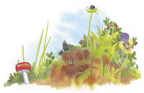 Иллюстрация к книге — Жук на ниточке [i_038.jpg]